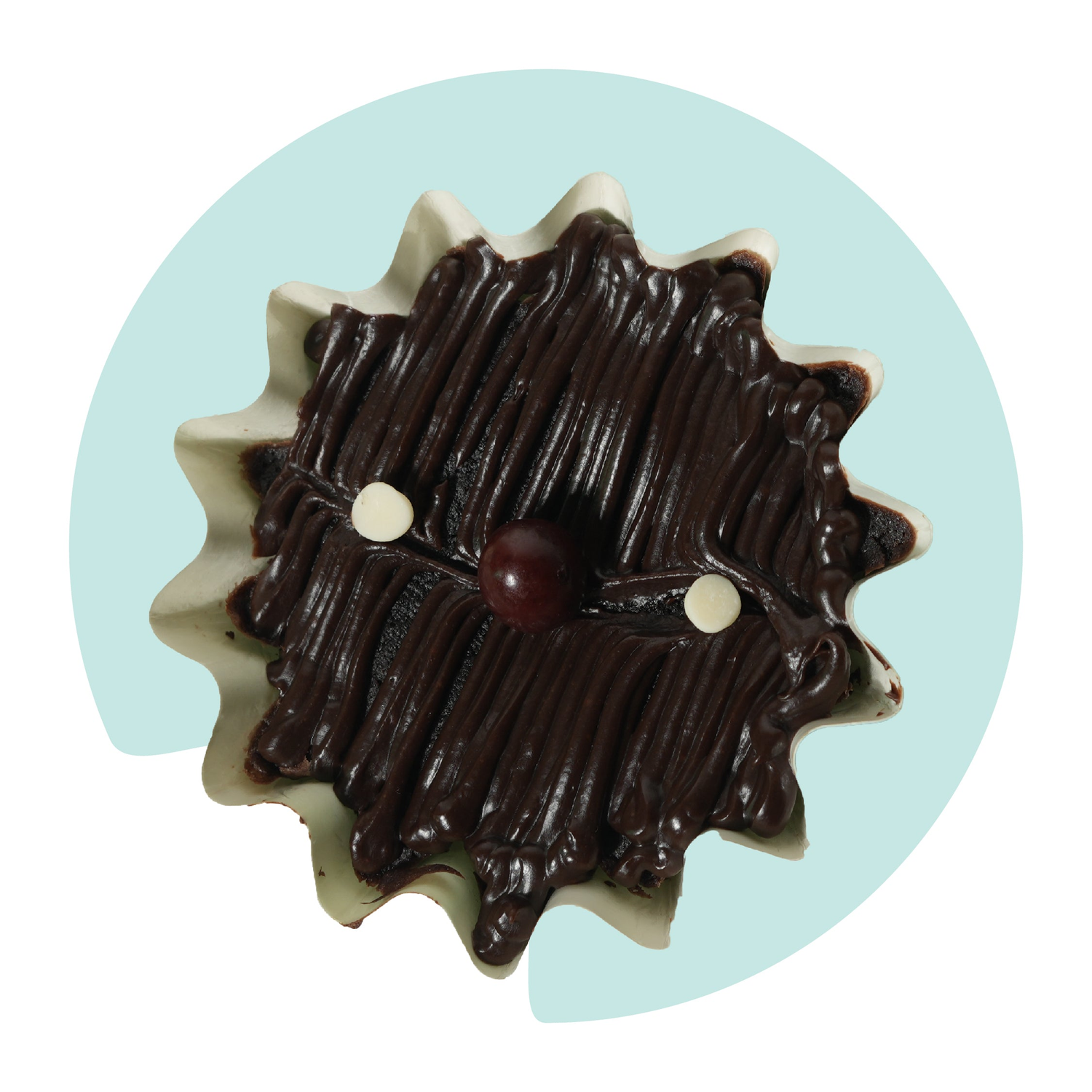 Brownies  (Chh. Sambhajinagar only)